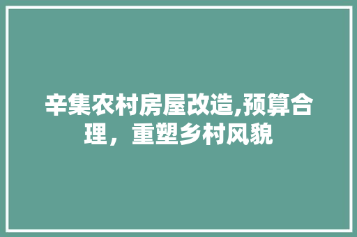 辛集农村房屋改造,预算合理，重塑乡村风貌