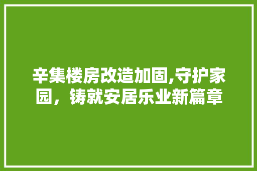 辛集楼房改造加固,守护家园，铸就安居乐业新篇章