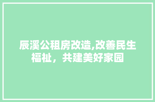 辰溪公租房改造,改善民生福祉，共建美好家园