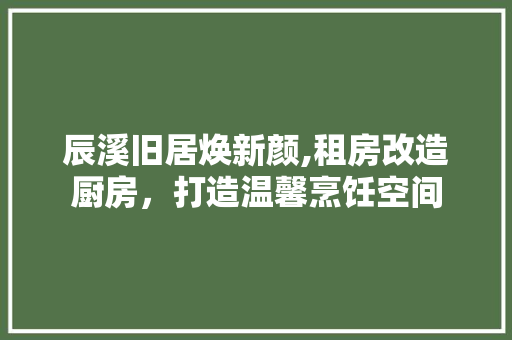 辰溪旧居焕新颜,租房改造厨房，打造温馨烹饪空间