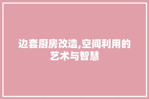 边套厨房改造,空间利用的艺术与智慧