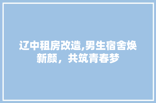 辽中租房改造,男生宿舍焕新颜，共筑青春梦