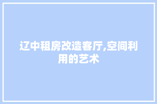 辽中租房改造客厅,空间利用的艺术