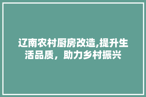 辽南农村厨房改造,提升生活品质，助力乡村振兴