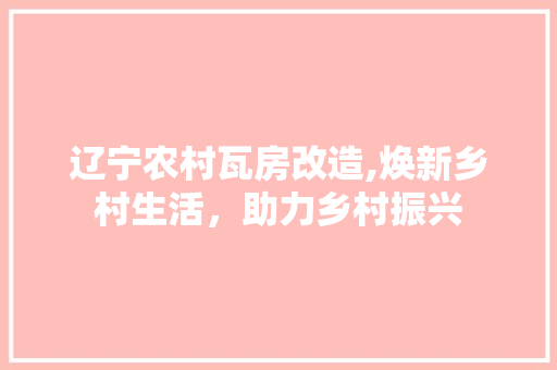 辽宁农村瓦房改造,焕新乡村生活，助力乡村振兴
