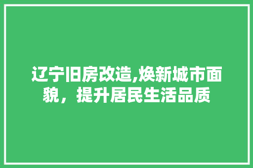 辽宁旧房改造,焕新城市面貌，提升居民生活品质