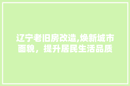 辽宁老旧房改造,焕新城市面貌，提升居民生活品质