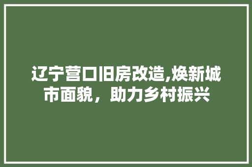 辽宁营口旧房改造,焕新城市面貌，助力乡村振兴