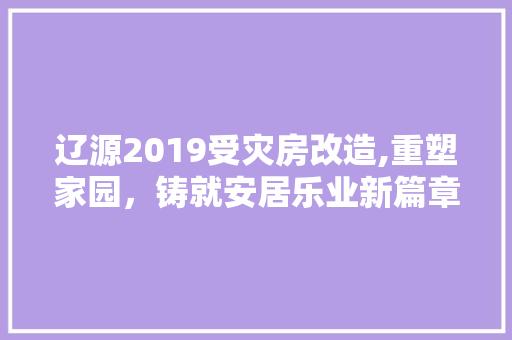 辽源2019受灾房改造,重塑家园，铸就安居乐业新篇章