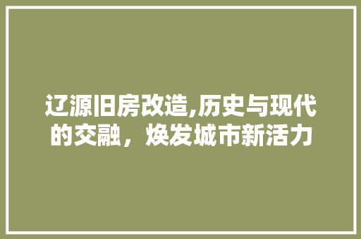 辽源旧房改造,历史与现代的交融，焕发城市新活力