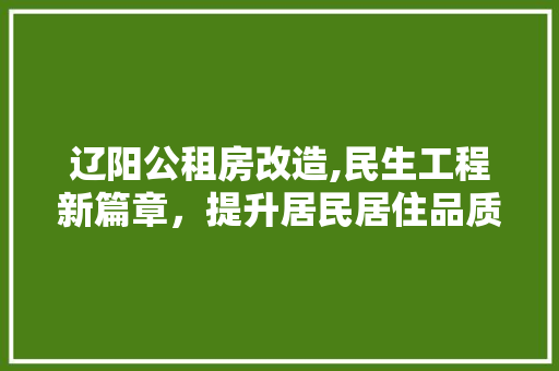 辽阳公租房改造,民生工程新篇章，提升居民居住品质