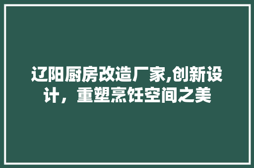 辽阳厨房改造厂家,创新设计，重塑烹饪空间之美