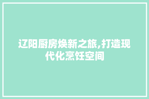 辽阳厨房焕新之旅,打造现代化烹饪空间