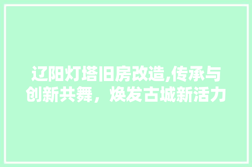 辽阳灯塔旧房改造,传承与创新共舞，焕发古城新活力