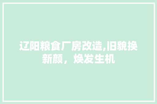 辽阳粮食厂房改造,旧貌换新颜，焕发生机
