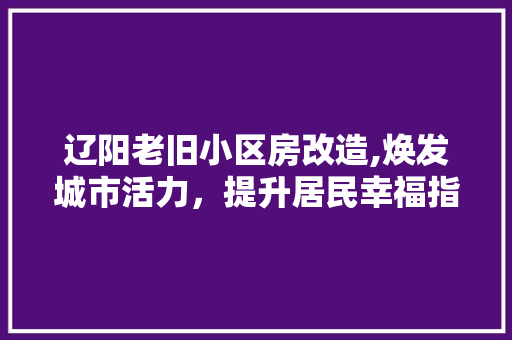 辽阳老旧小区房改造,焕发城市活力，提升居民幸福指数
