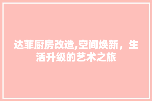 达菲厨房改造,空间焕新，生活升级的艺术之旅