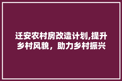 迁安农村房改造计划,提升乡村风貌，助力乡村振兴