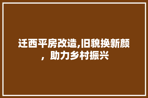 迁西平房改造,旧貌换新颜，助力乡村振兴