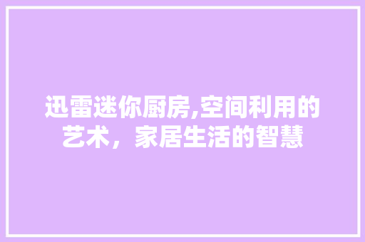 迅雷迷你厨房,空间利用的艺术，家居生活的智慧