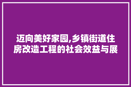迈向美好家园,乡镇街道住房改造工程的社会效益与展望