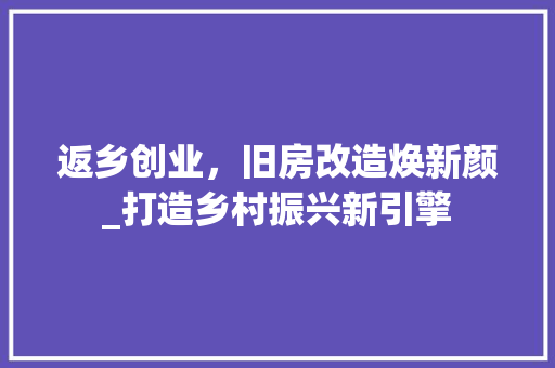 返乡创业，旧房改造焕新颜_打造乡村振兴新引擎 厨房维修