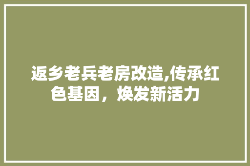 返乡老兵老房改造,传承红色基因，焕发新活力