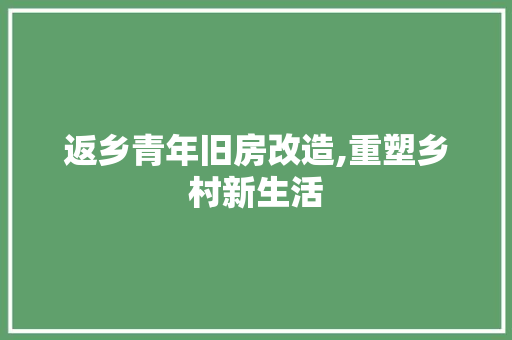 返乡青年旧房改造,重塑乡村新生活