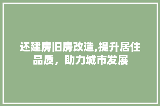 还建房旧房改造,提升居住品质，助力城市发展