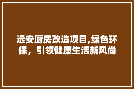 远安厨房改造项目,绿色环保，引领健康生活新风尚