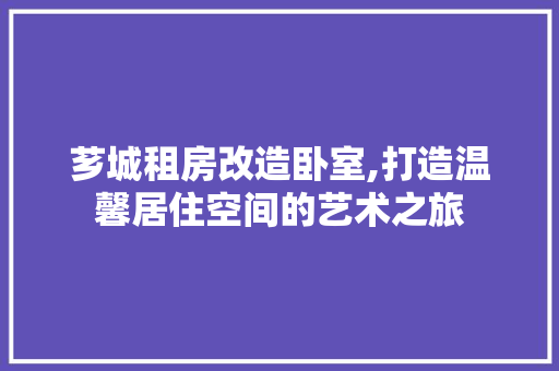 芗城租房改造卧室,打造温馨居住空间的艺术之旅