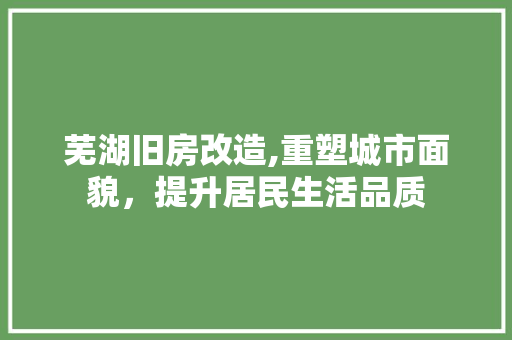 芜湖旧房改造,重塑城市面貌，提升居民生活品质