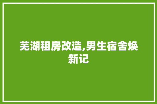 芜湖租房改造,男生宿舍焕新记