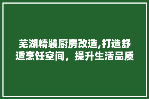 芜湖精装厨房改造,打造舒适烹饪空间，提升生活品质 家电维修