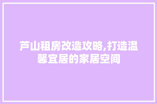 芦山租房改造攻略,打造温馨宜居的家居空间 墙体维修