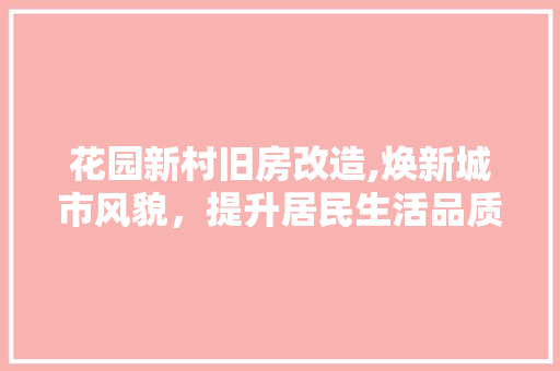 花园新村旧房改造,焕新城市风貌，提升居民生活品质 厨房维修