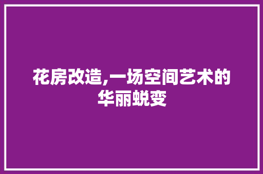 花房改造,一场空间艺术的华丽蜕变