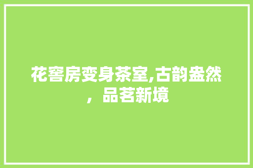 花窖房变身茶室,古韵盎然，品茗新境