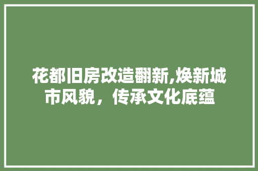花都旧房改造翻新,焕新城市风貌，传承文化底蕴