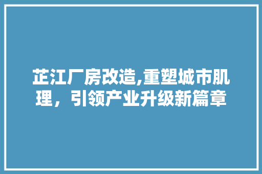芷江厂房改造,重塑城市肌理，引领产业升级新篇章