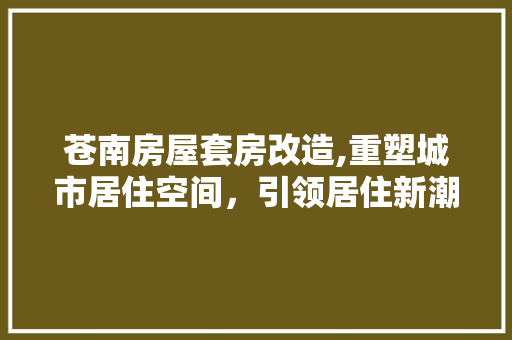 苍南房屋套房改造,重塑城市居住空间，引领居住新潮流