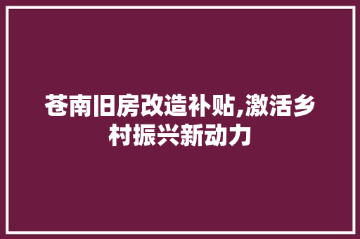 苍南旧房改造补贴,激活乡村振兴新动力