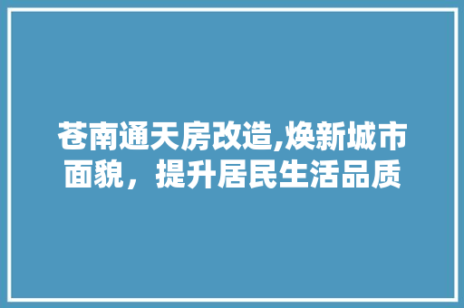 苍南通天房改造,焕新城市面貌，提升居民生活品质