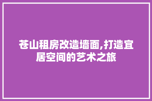 苍山租房改造墙面,打造宜居空间的艺术之旅 厨房维修