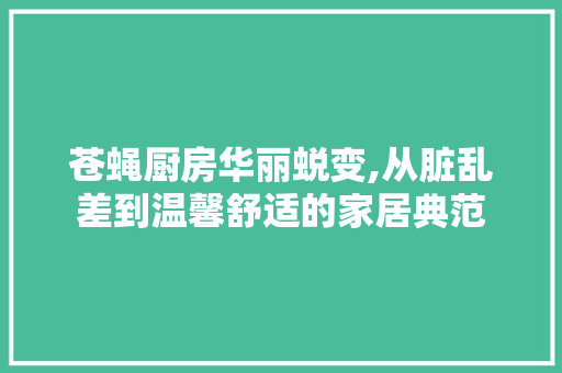 苍蝇厨房华丽蜕变,从脏乱差到温馨舒适的家居典范
