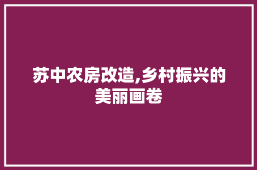 苏中农房改造,乡村振兴的美丽画卷