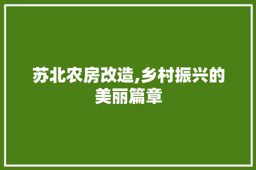 苏北农房改造,乡村振兴的美丽篇章