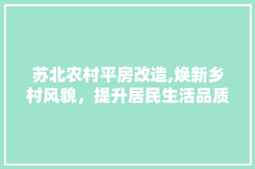 苏北农村平房改造,焕新乡村风貌，提升居民生活品质