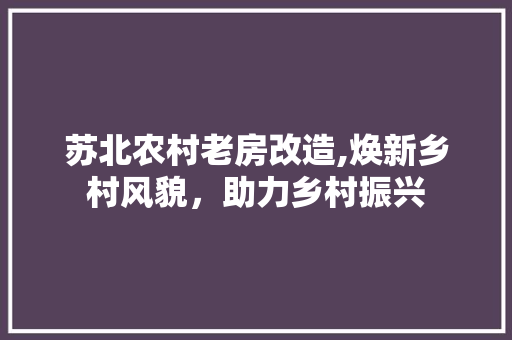 苏北农村老房改造,焕新乡村风貌，助力乡村振兴