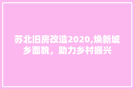 苏北旧房改造2020,焕新城乡面貌，助力乡村振兴